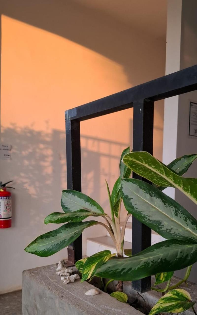 D Valeri Guest house