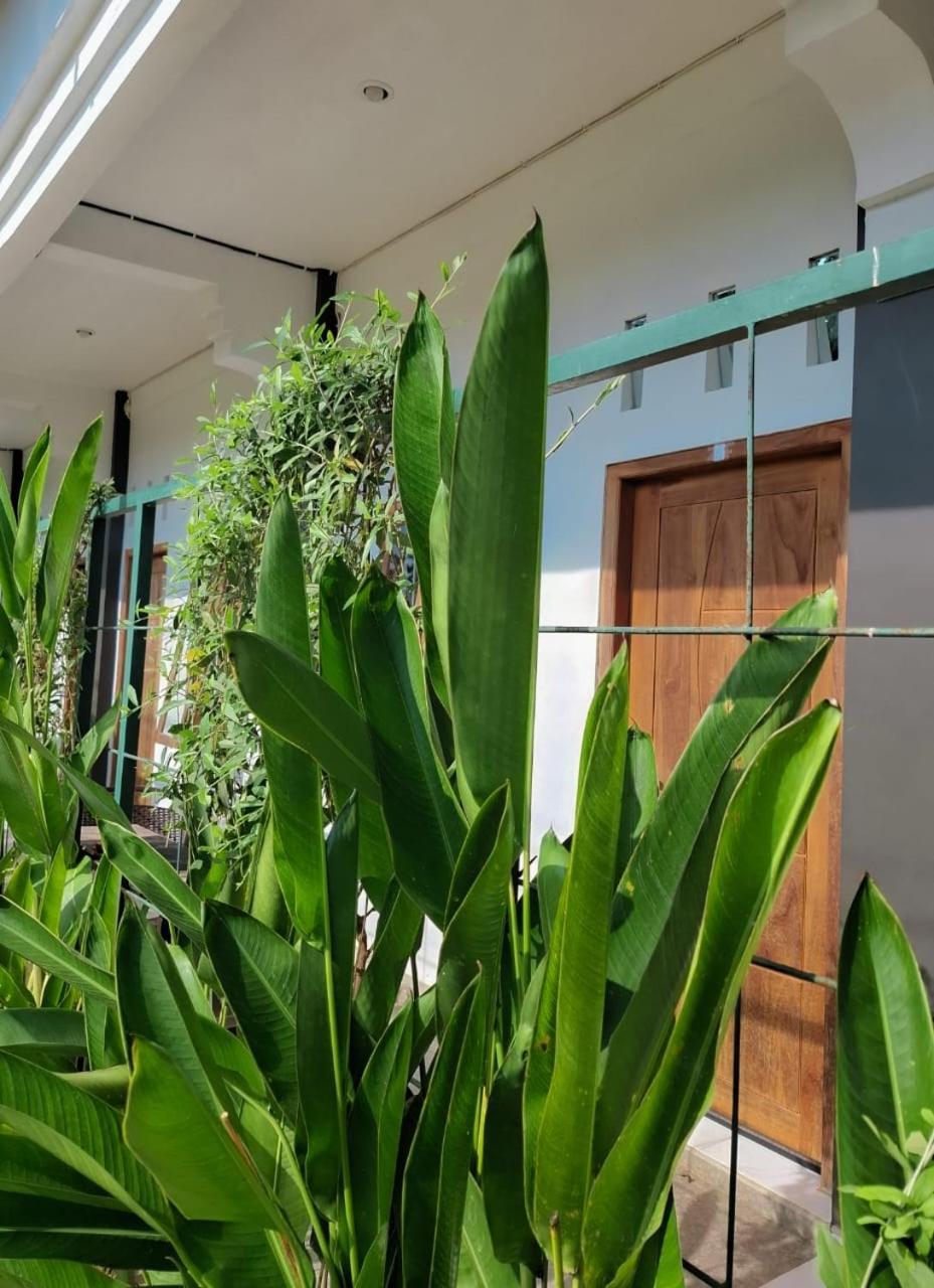 Guest house D Valeri *