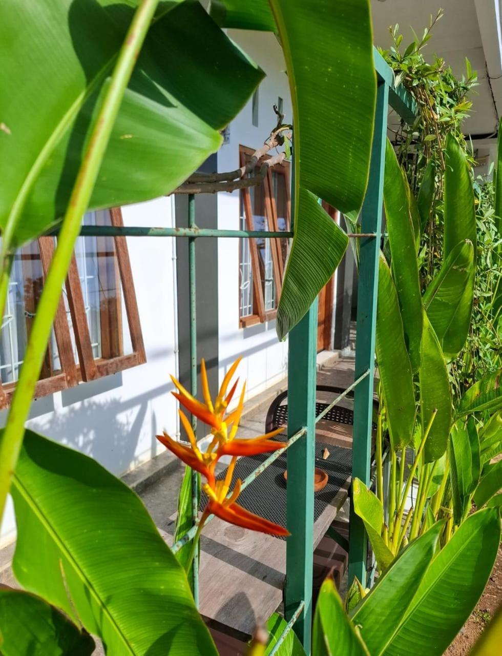 Guest house D Valeri Labuan Bajo