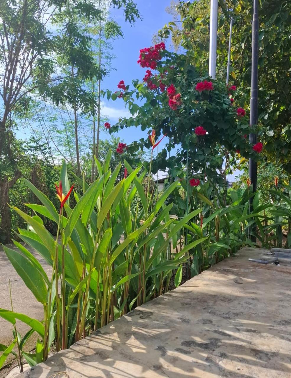 D Valeri * Labuan Bajo